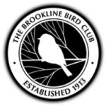 Brookline Bird Club logo