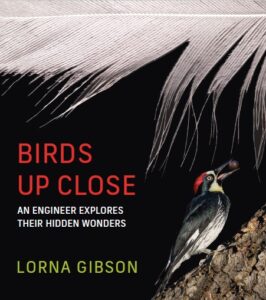Birds Up Close Book Cover