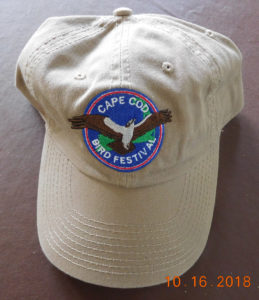Bird Festival Baseball Cap