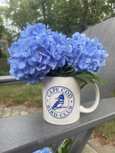 Mug. Makes your morning Joe even better. $7