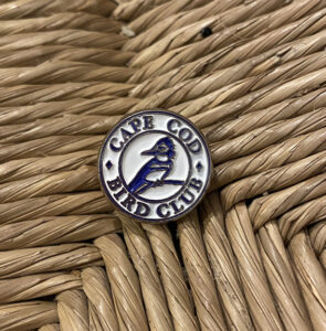 Enamel pin with raised nickel plating (0.75 inch diameter) with butterfly clutch. $3″