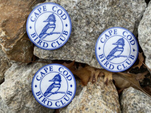 CCBC Logo Sticker 2
